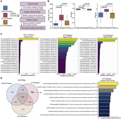Urogenital microbiota-driven virulence factor genes associated with recurrent urinary tract infection